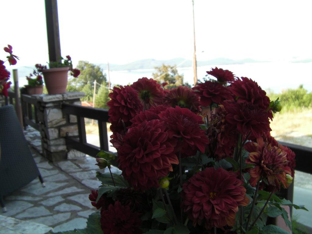 Pandion Luxury Boutique Hotel & Suites With Spa Neochori (Karditsa) Exterior foto